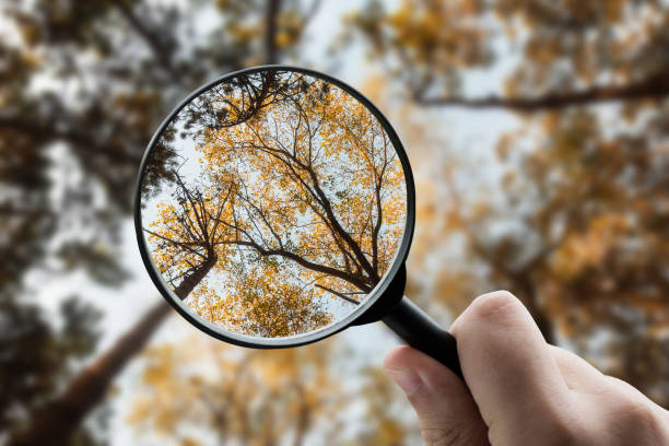istockphoto 1924410005 612x612